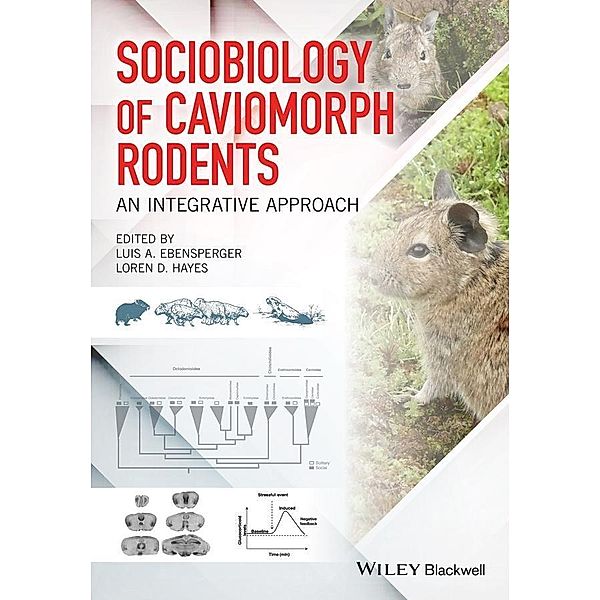 Sociobiology of Caviomorph Rodents