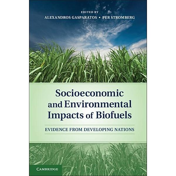 Socioeconomic and Environmental Impacts of Biofuels