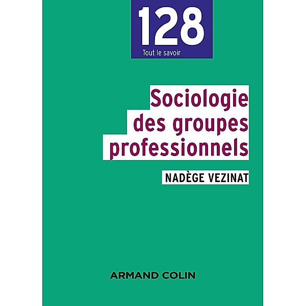 Sociologie des groupes professionnels / sociologie, Nadège Vezinat