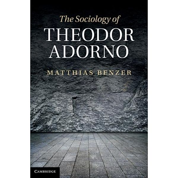 Sociology of Theodor Adorno, Matthias Benzer