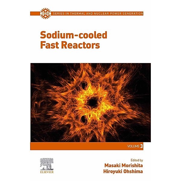 Sodium-cooled Fast Reactors