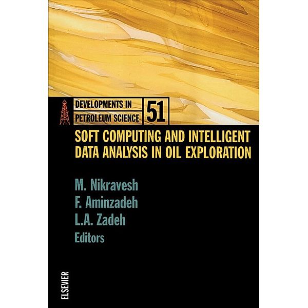 Soft Computing and Intelligent Data Analysis in Oil Exploration