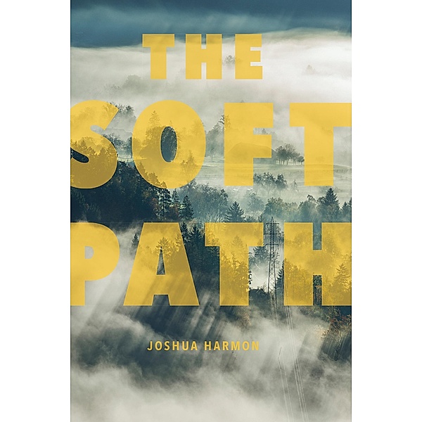 Soft Path / Akron Series in Poetry, Joshua Harmon