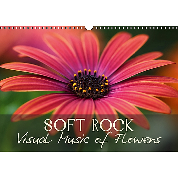 Soft Rock Visual Music of Flowers (Wall Calendar 2019 DIN A3 Landscape), Vronja Photon