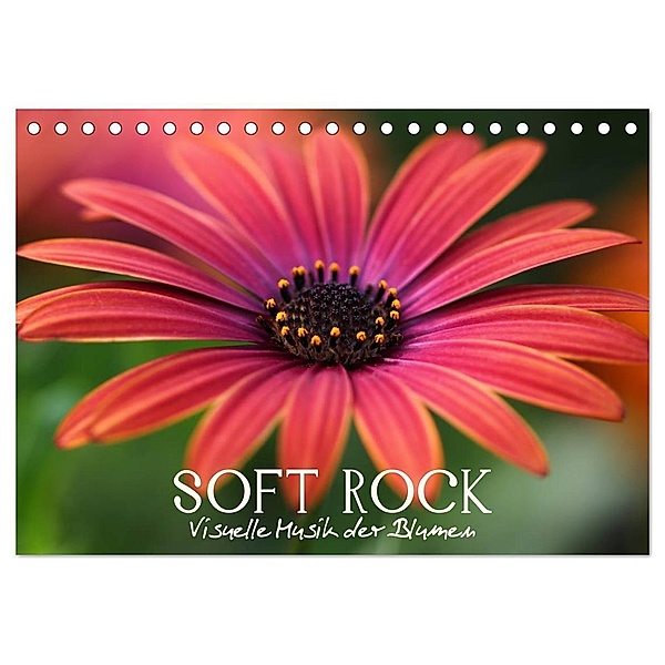 Soft Rock - Visuelle Musik der Blumen (Tischkalender 2024 DIN A5 quer), CALVENDO Monatskalender, Vronja Photon (Veronika Verenin)