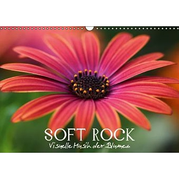 Soft Rock - Visuelle Musik der Blumen (Wandkalender 2015 DIN A3 quer), Vronja Photon
