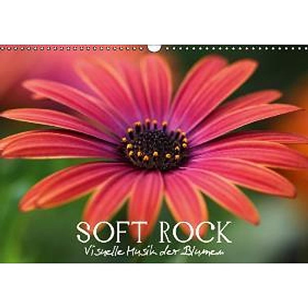 Soft Rock - Visuelle Musik der Blumen (Wandkalender 2016 DIN A3 quer), Vronja Photon