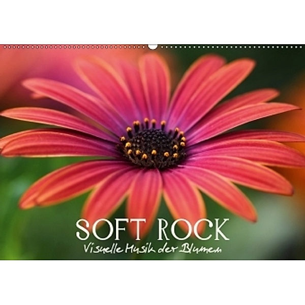 Soft Rock - Visuelle Musik der Blumen (Wandkalender 2017 DIN A2 quer), Vronja Photon