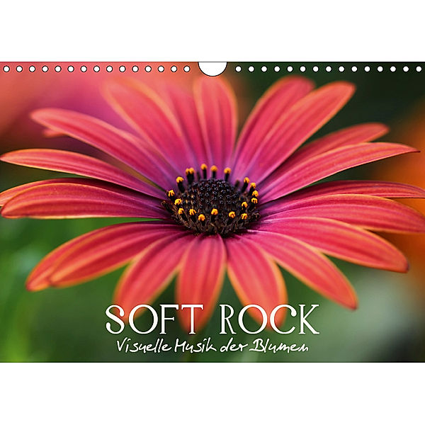 Soft Rock - Visuelle Musik der Blumen (Wandkalender 2019 DIN A4 quer), Veronika Verenin