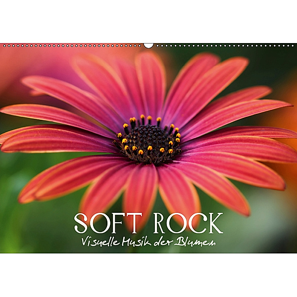 Soft Rock - Visuelle Musik der Blumen (Wandkalender 2019 DIN A2 quer), Veronika Verenin