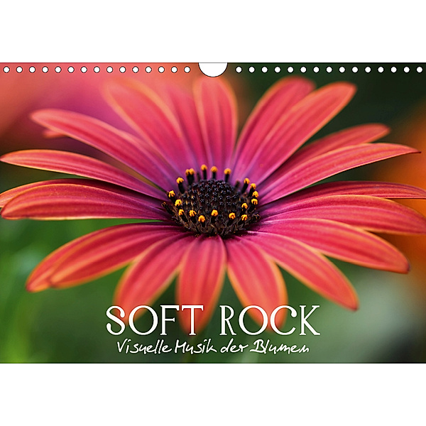 Soft Rock - Visuelle Musik der Blumen (Wandkalender 2020 DIN A4 quer), Veronika Verenin
