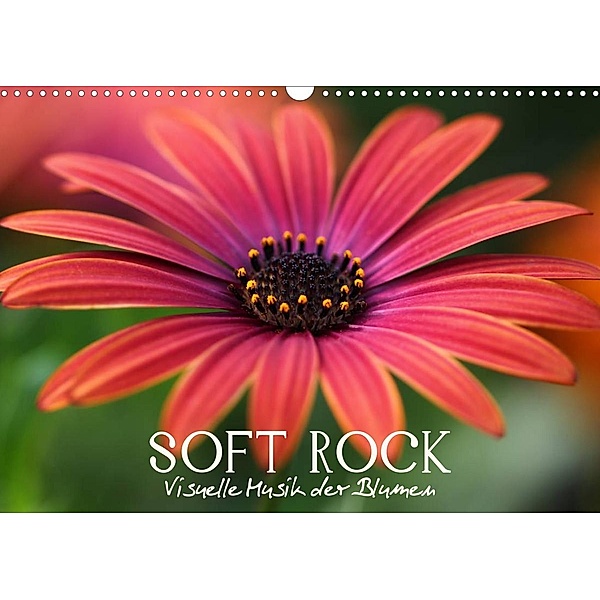 Soft Rock - Visuelle Musik der Blumen (Wandkalender 2023 DIN A3 quer), Vronja Photon (Veronika Verenin)