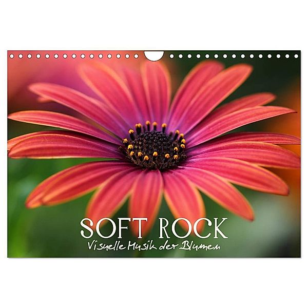 Soft Rock - Visuelle Musik der Blumen (Wandkalender 2024 DIN A4 quer), CALVENDO Monatskalender, Vronja Photon (Veronika Verenin)