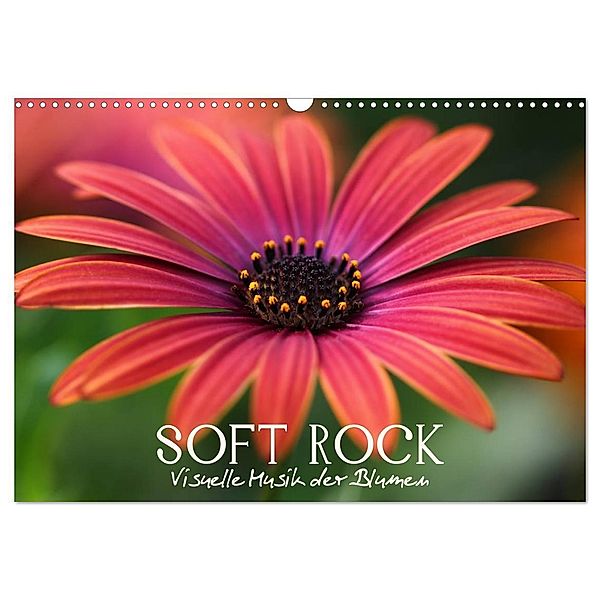 Soft Rock - Visuelle Musik der Blumen (Wandkalender 2024 DIN A3 quer), CALVENDO Monatskalender, Vronja Photon (Veronika Verenin)