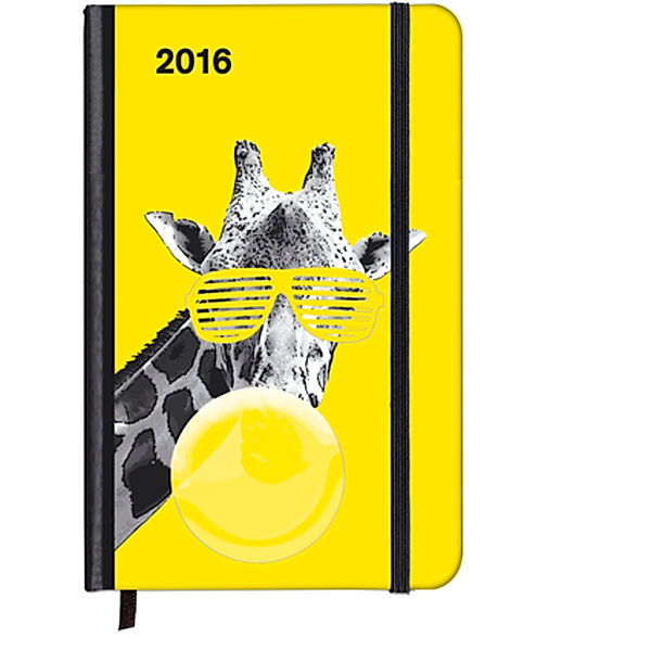 SoftTouch Diary Cool Giraffe 2016, Matt Dinniman