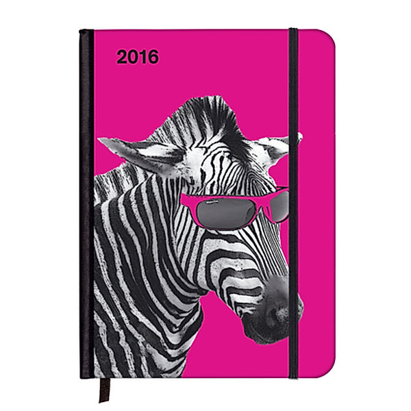 SoftTouch Diary Cool Zebra 2016, Matt Dinniman