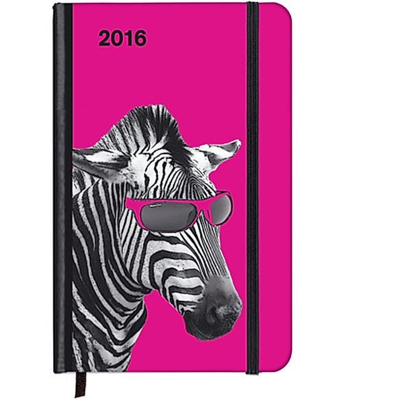 SoftTouch Diary Cool Zebra 2016, Matt Dinniman