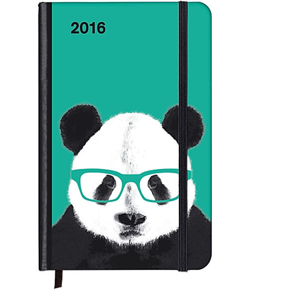 SoftTouch Diary Nerdy Panda 2016, Matt Dinniman