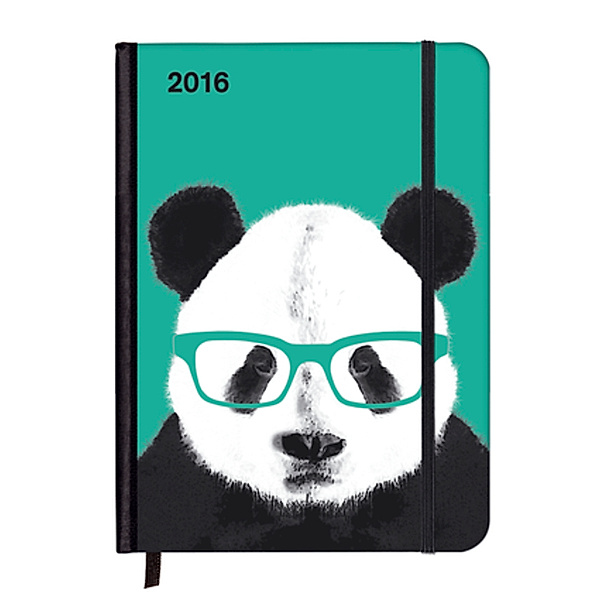 SoftTouch Diary Nerdy Panda 2016, Matt Dinniman