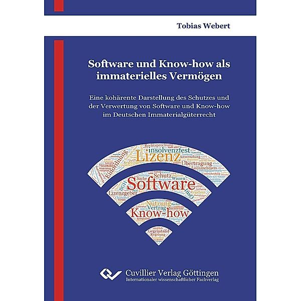 Software und Know-how als immaterielles Vermögen