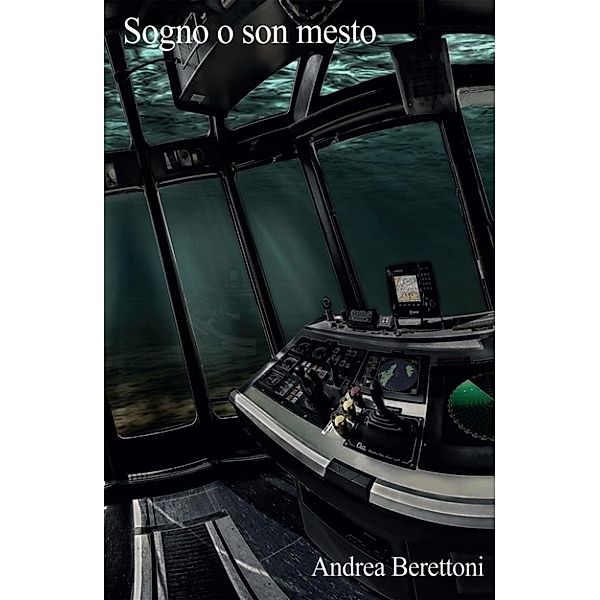 Sogno o son mesto, Andrea Berettoni