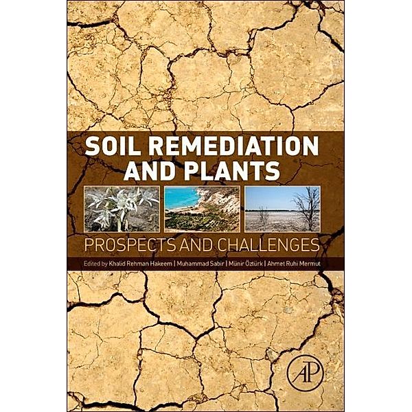 Soil Remediation and Plants