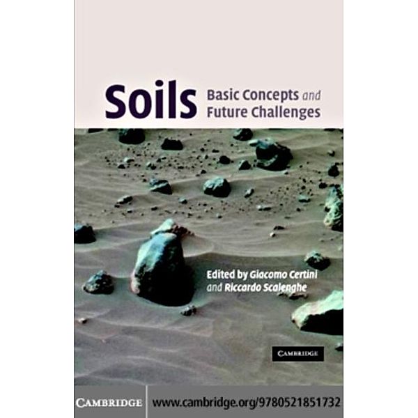 Soils: Basic Concepts and Future Challenges, Riccardo Scalenghe