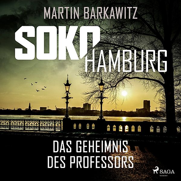 SoKo Hamburg - Ein Fall für Heike Stein - 9 - SoKo Hamburg: Das Geheimnis des Professors (Ein Fall für Heike Stein, Band 9), Martin Barkawitz