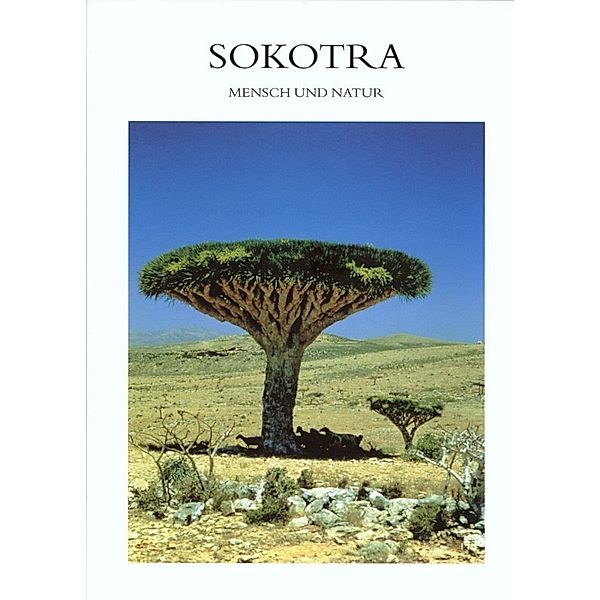 Sokotra