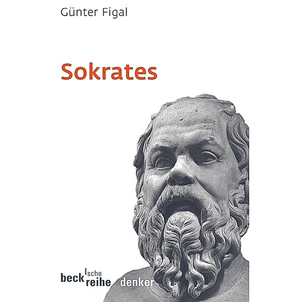 Sokrates, Günter Figal