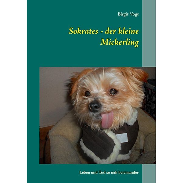 Sokrates - der kleine Mickerling, Birgit Vogt