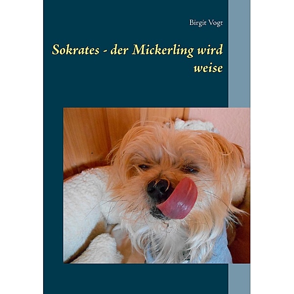 Sokrates - der Mickerling wird weise, Birgit Vogt