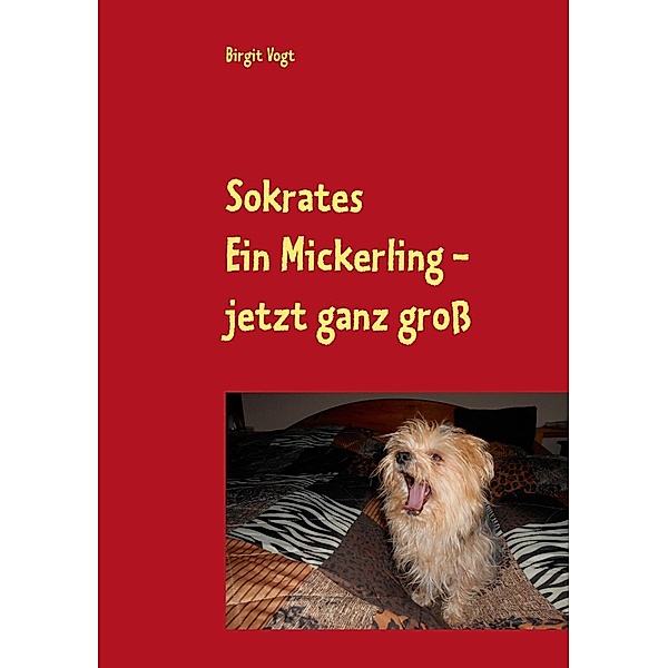 Sokrates  Ein Mickerling - jetzt ganz groß, Birgit Vogt