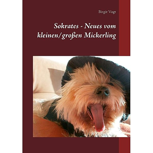 Sokrates - Neues vom kleinen/großen Mickerling, Birgit Vogt