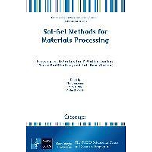 Sol-Gel Methods for Materials Processing: Focusing on Materials for Pollution Control, Water Purification, and Soil Remediation