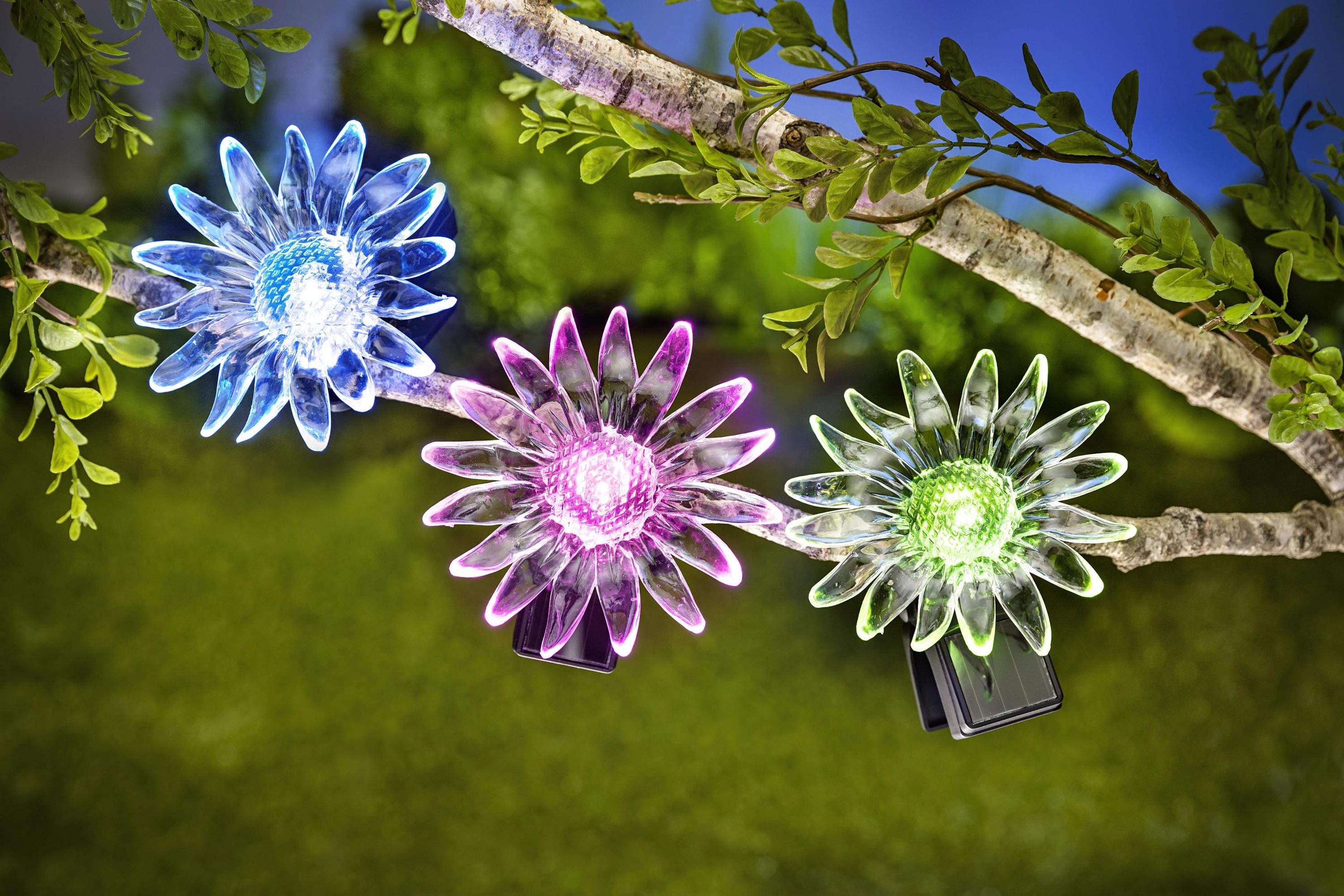 Solar-Blumen mit Clip 3er-Set jetzt bei  bestellen