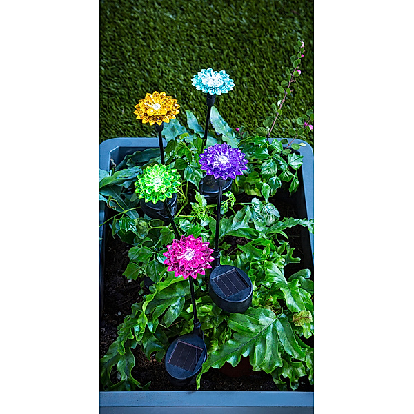 Solar-Gartenstecker Flower Power 5er-Set