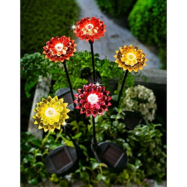 Solar-Gartenstecker Flower Power 5er-Set