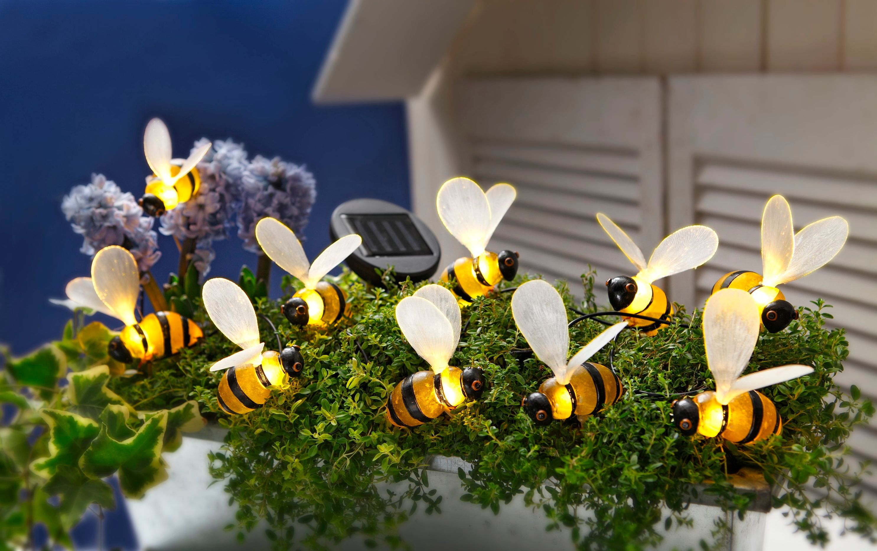 Solar-Lichterkette Bienchen jetzt bei Weltbild.at bestellen