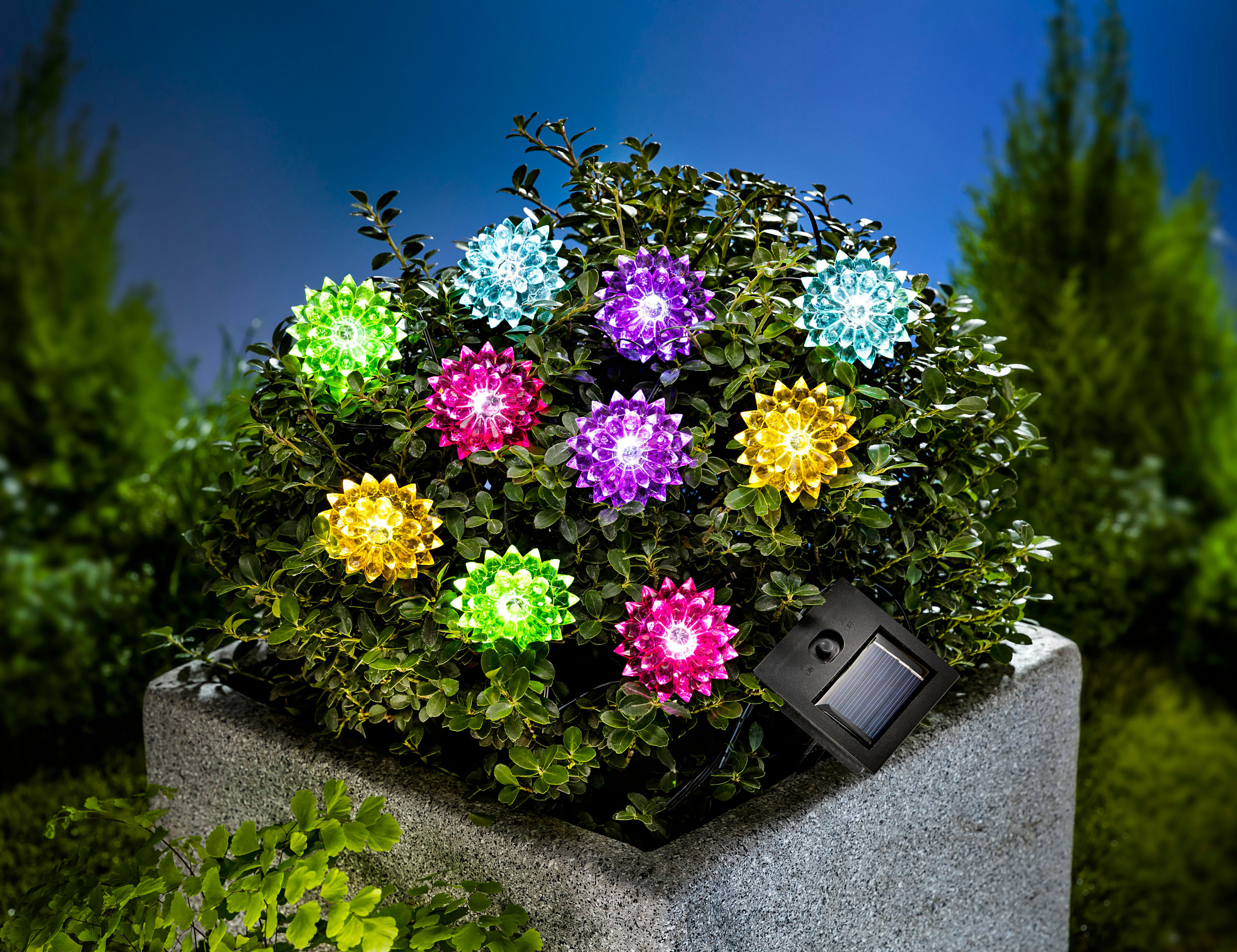 Solar-Lichterkette Flower Power 180 cm bestellen | Weltbild.de