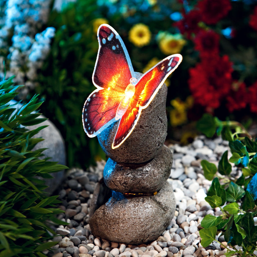 Solar-Schmetterling auf Stein