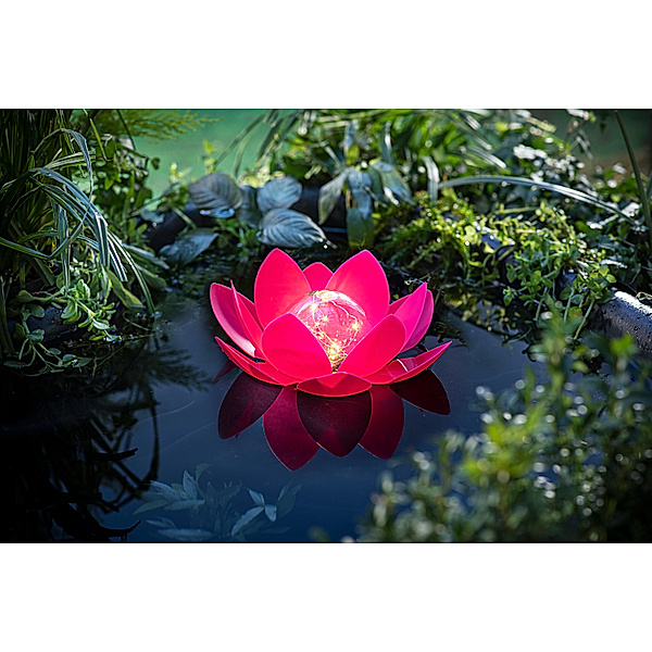 Solar-Schwimmdeko Lotus (Farbe: pink)