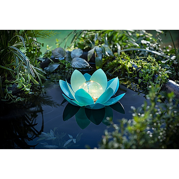 Solar-Schwimmdeko Lotus (Farbe: türkis)
