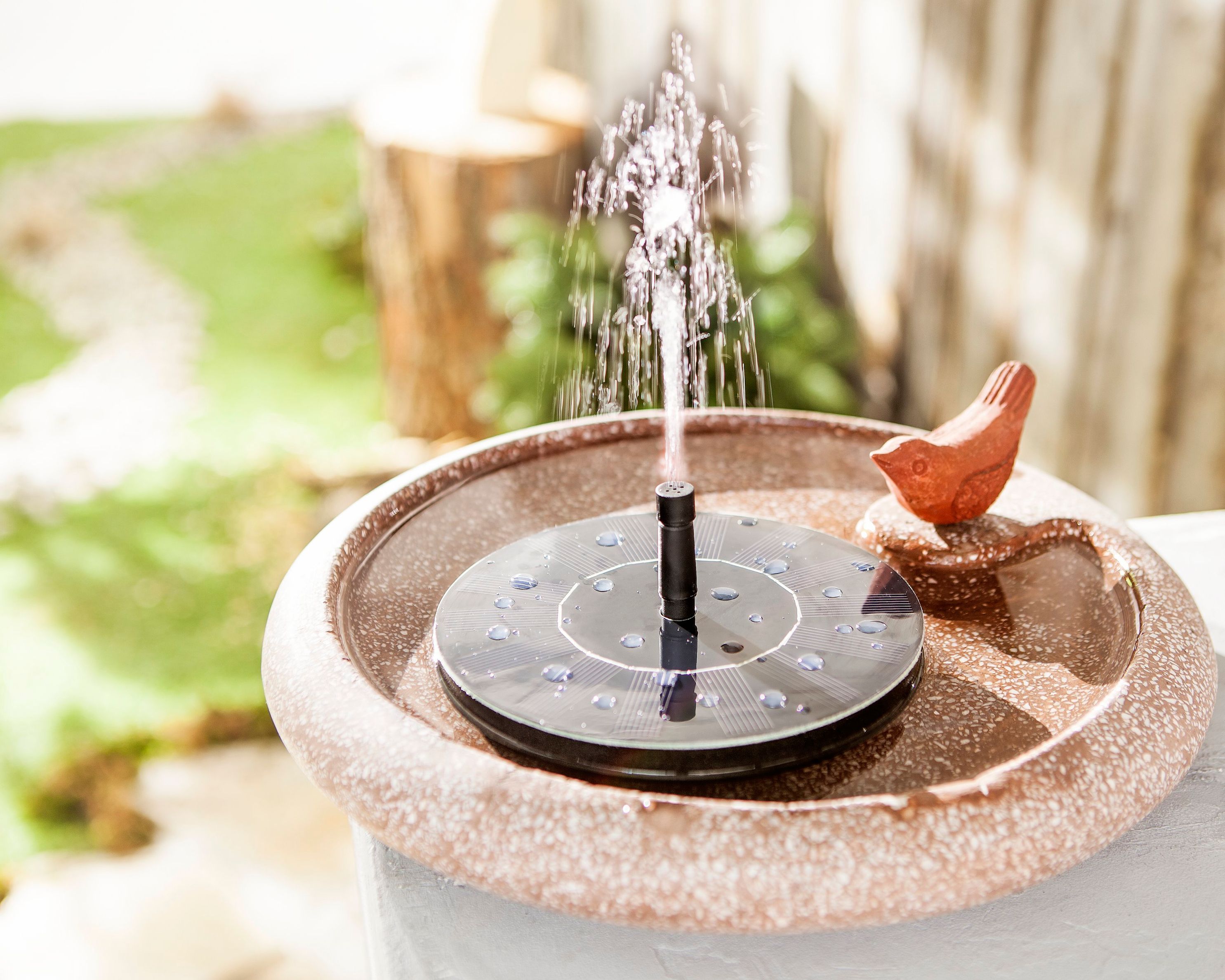 Solar-Wasserspiel jetzt bei Weltbild.de bestellen