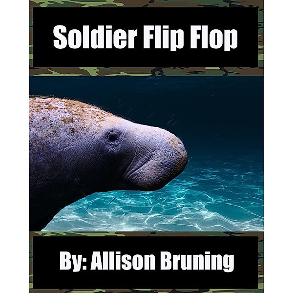 Soldier Flip Flop, Allison Bruning