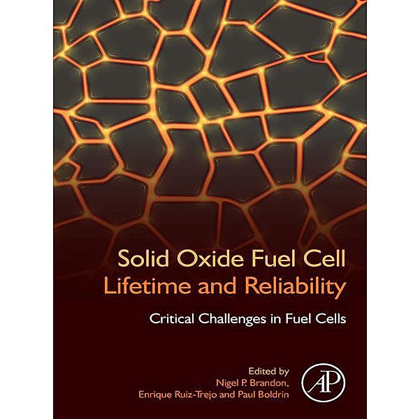 Solid Oxide Fuel Cell Lifetime and Reliability, Nigel Brandon