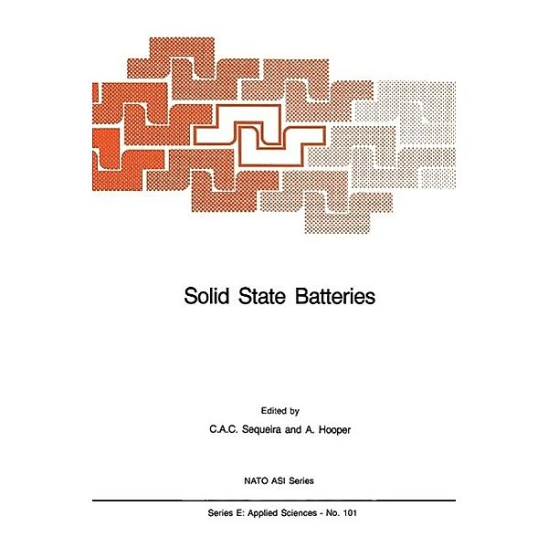 Solid State Batteries / NATO Science Series E: Bd.101