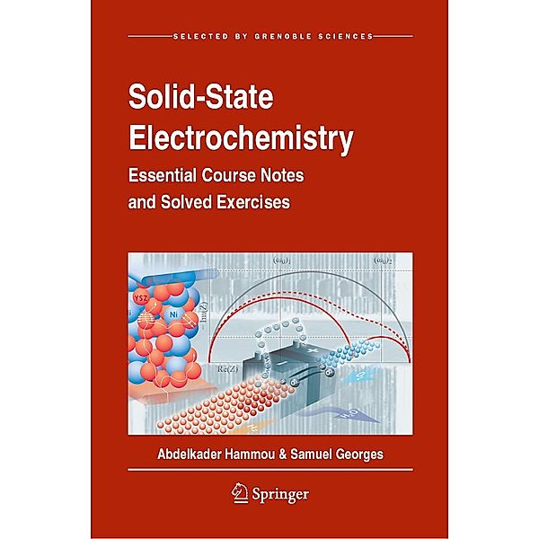 Solid-State Electrochemistry, Abdelkader Hammou, Samuel Georges