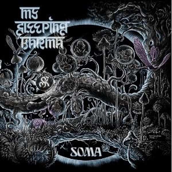 Soma (2 Lp) (Vinyl), My Sleeping Karma