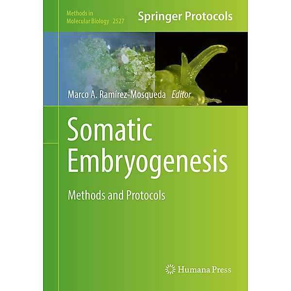 Somatic Embryogenesis